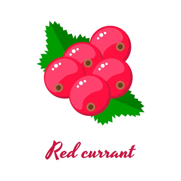 Vektorillustration. Röda vinbär. Trädgårdsbär. — Stock vektor