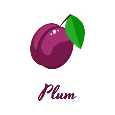 Vektör çizim. Bahçe berry Erik