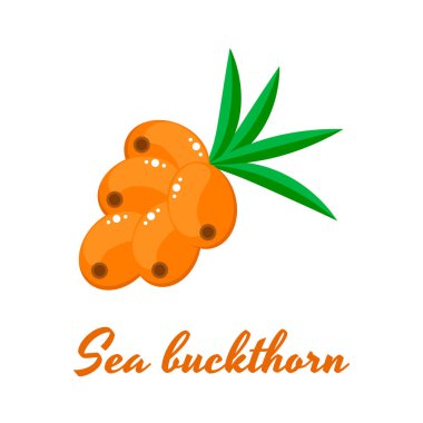 Turuncu deniz cehri berry.