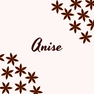 Vektör çizim. Baharat. Yıldız anason. Badian.