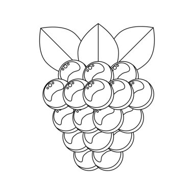 Çocuklar için boyama kitabı. Vektör. Berry. Blackber