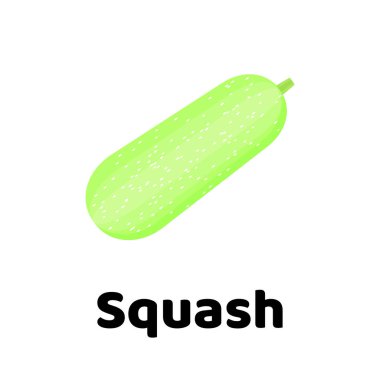 Vektör çizim. Sebze. Squash