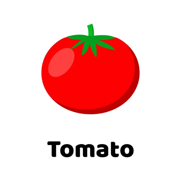 Ilustración vectorial. Hortalizas. Tomate . — Archivo Imágenes Vectoriales