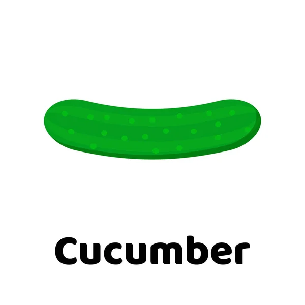 Vector illustration. Vegetable. Cucumber. — Stock Vector