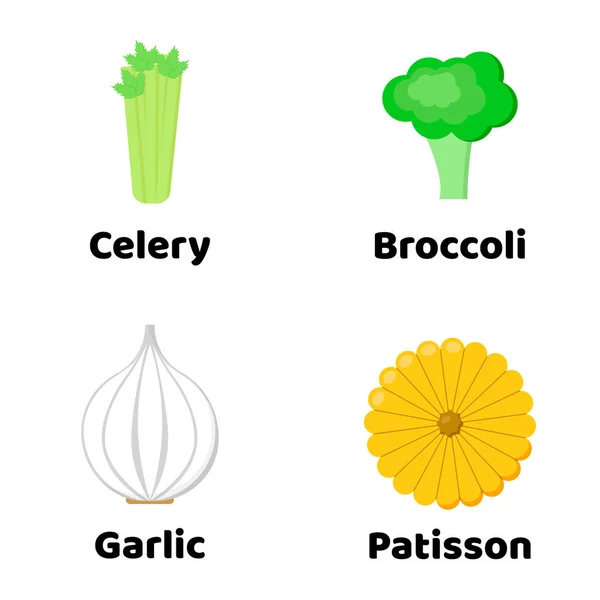 Ilustração. Conjunto de vegetais. Patisson, aipo, alho, brócolis — Vetor de Stock