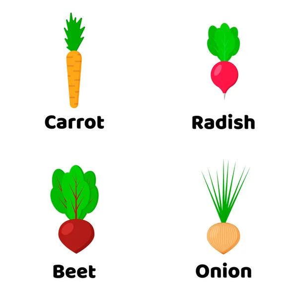 Ilustração. Conjunto de vegetais. Beterraba, Cebola, cenoura, rabanete — Vetor de Stock