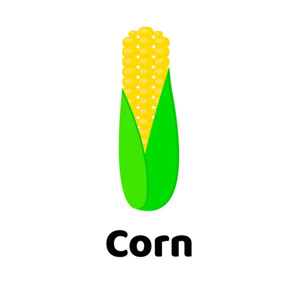 Vektoros illusztráció. Zöldség. kukorica — Stock Vector