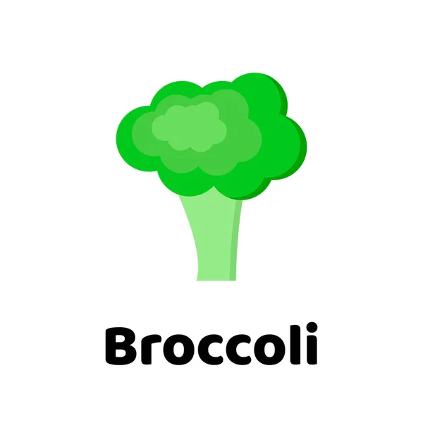 Vectorillustratie. Plantaardige. Broccoli — Stockvector