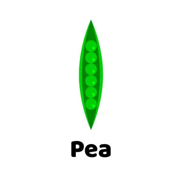 Vector illustration. Peas on white background. — Stock Vector