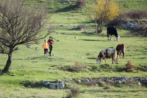 Duas mulheres correndo em atividade em movimento; cruzando o gramado com árvores e vacas pastando . — Fotografia de Stock