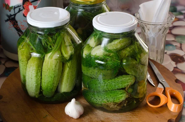 Conservation of fresh cucumbers — Stock Photo, Image