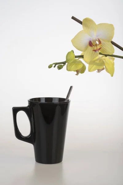 Tasse à café noire et orchidée jaune — Photo