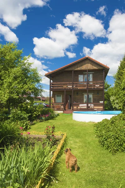 Casa, piscina e cão vermelho em um gramado verde — Fotografia de Stock