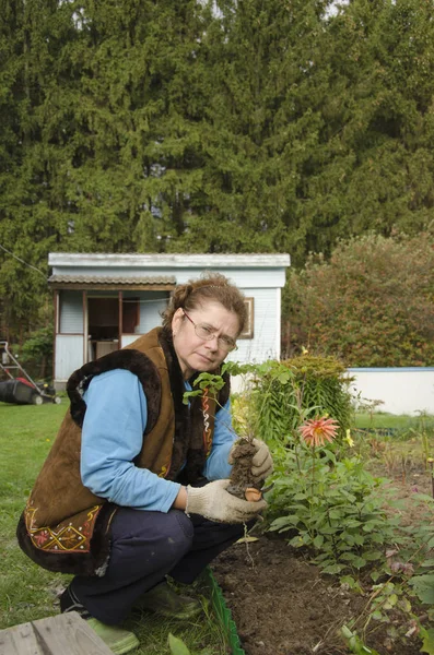 Женщина Сажающая Цветы Клумбе Перед Маленьким Домом — стоковое фото