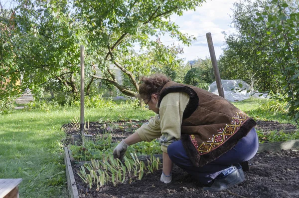 Una Mujer Plantando Flores Macizo Flores Frente Una Pequeña Casa Fotos De Stock