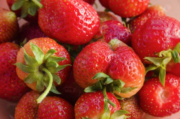 Lot Strawberry Berries Summer Garden Crop — Stock Photo, Image