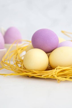 Paskalya yumurta yuvada pastel renk renkli.