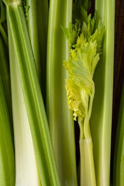 Kereviz. Yapraklar ve taze organik yeşil kereviz sapları yakından. Sağlıklı beslenme, vejetaryen yiyecekler, diyet, diyet konsepti.