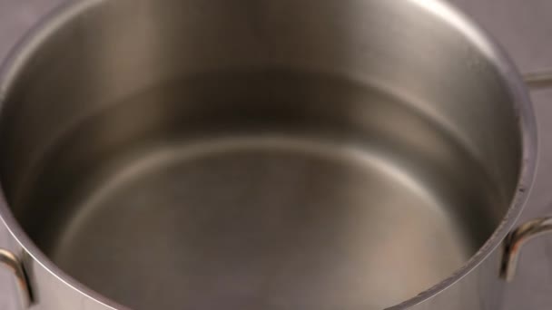 Pieces of potato being put into a pot with boiling water. Making soup. — Stock Video
