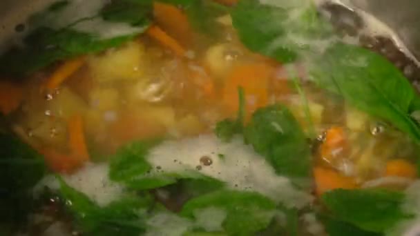 Gemüsesuppe. Gemüse in kochendem Wasser. Kartoffeln, Karotten, Zwiebeln, Erbsen. Gemüsesuppe kochen. — Stockvideo