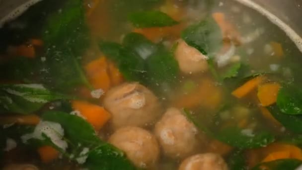 Homemade vegetable soup with meatballs in a pan. Spinach. Close-up. — Stock Footage Homemade vegetable soup with meatballs in a pan. Spinach. Close-up. Stock Footage