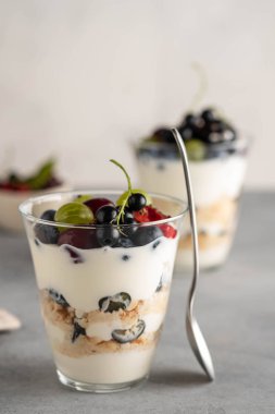 Gri arka planda böğürtlenli tiramisu. İtalyan tatlısı. Boşluğu kopyala.