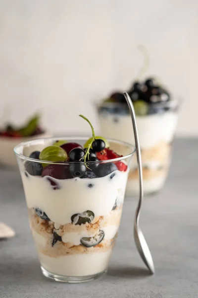 Tiramisu with berries in glasses on grey background. Italian dessert. Copy space. — Stock Photo, Image