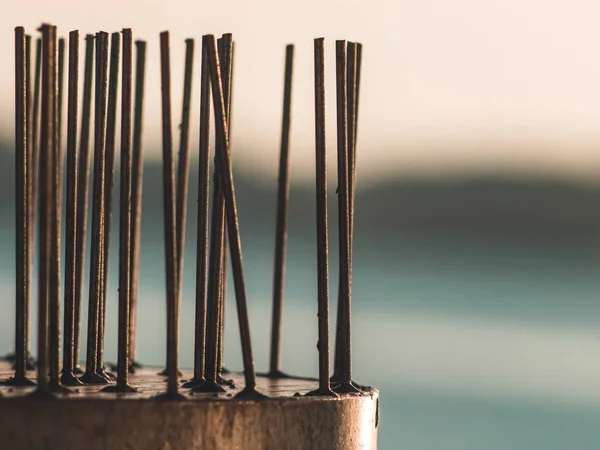 Protective Pigeon Spikes, lined up — Stock Photo, Image