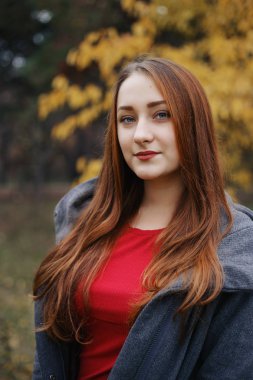 Sıcak gri paltosu genç romantik kadın kişi. Ayakta sarı yapraklar arka plan ağacıyla sonbahar Park'ta modeli. Güzel kız kameraya ile düşünceli ara arama.