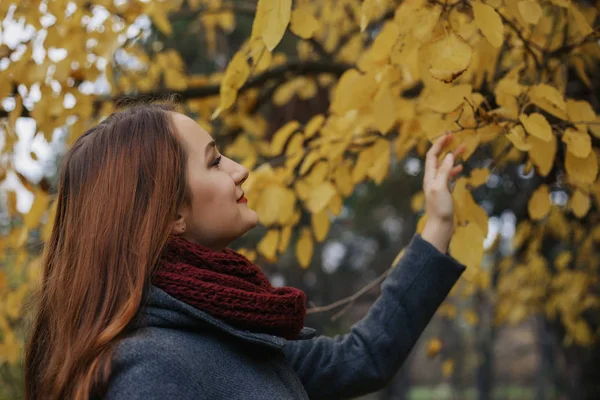 温かみのあるグレーのコートと赤いスカーフを身に着けている若いロマンチックな女性人秋の木に黄色なり 体に触れた 秋の公園で歩いているセクシーな赤毛の美少女 — ストック写真