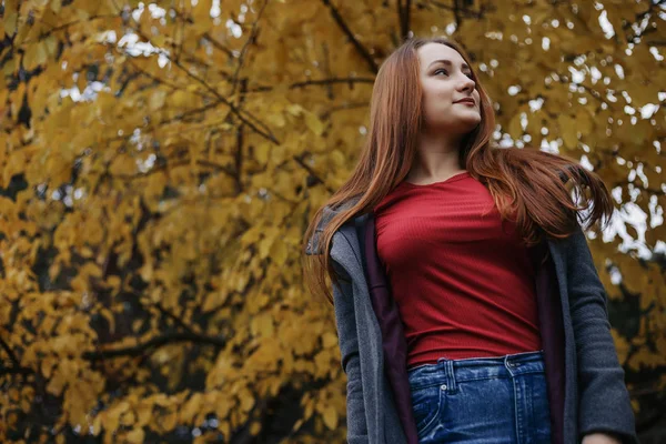 Sıcak palto gri ve kırmızı eşarp genç romantik kadın kişi. Ayakta sarı yapraklar arka plan ağacıyla sonbahar Park'ta modeli. Güzel kız yana doğru sola bakıyor. Kopya alanı.