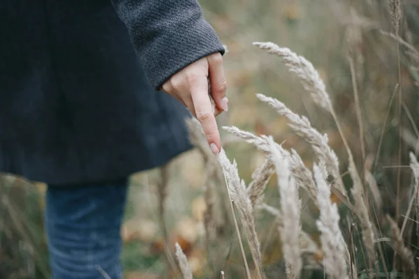Sahada yürüyüş ve spikelets dokunmadan gri palto kadında. 
