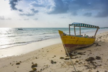 Telli tekne tropikal bir plajda