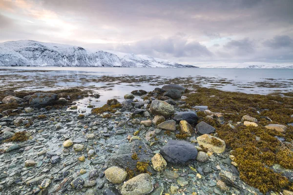 Naplemente a vízpart, a sziklák, a fjord az apály idején — Stock Fotó