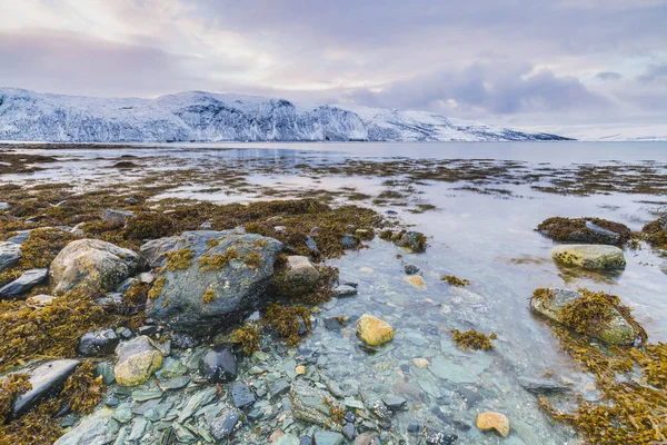 Naplemente a vízpart, a sziklák, a fjord az apály idején — Stock Fotó