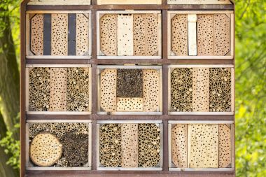 Yeşil bir ormandaki suni böcek otel