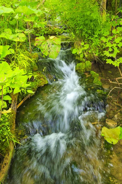 Крупним планом блакитні водоспади в зеленому лісі вдень в — стокове фото