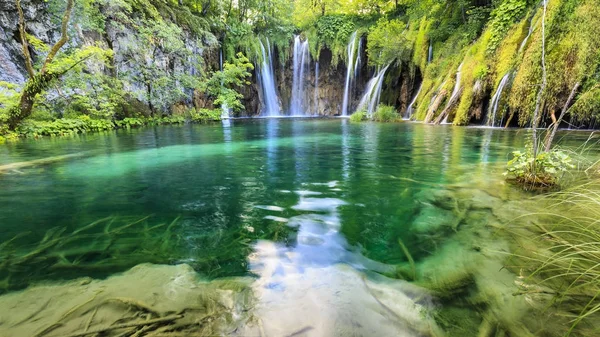 Крупним планом блакитні водоспади в зеленому лісі вдень в — стокове фото