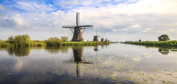 Geleneksel Hollanda yel değirmenleri doğal dünya Unesco miras Pan
