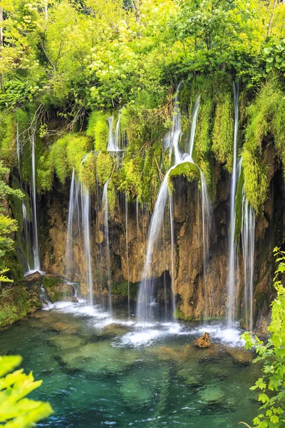 Крупним планом блакитні водоспади в зеленому лісі вдень в — стокове фото