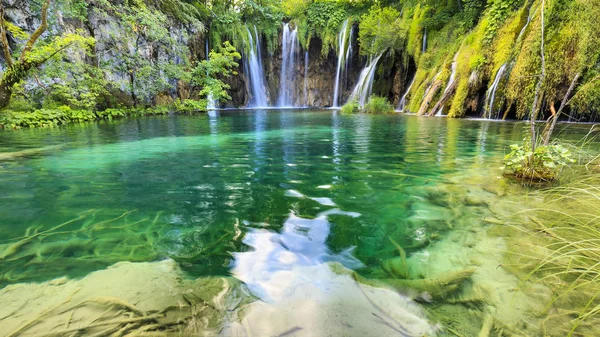 Крупним планом блакитні водоспади в зеленому лісі вдень в — стокове фото