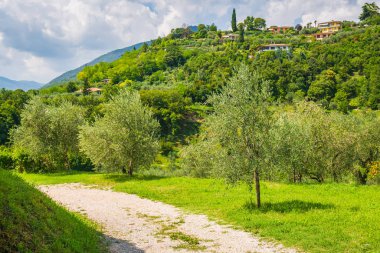 Salo, Brescia yakınlarındaki Renzano kırsal arazisi Lombardy It