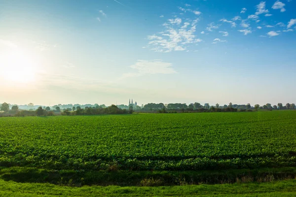 Land Van Cuijk Paisaje Agrícola Pequeño Pueblo Cuijk Río Mosa — Foto de Stock