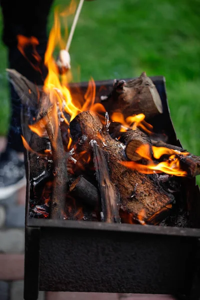 Grilling marshmallows on fire — Stock Photo, Image