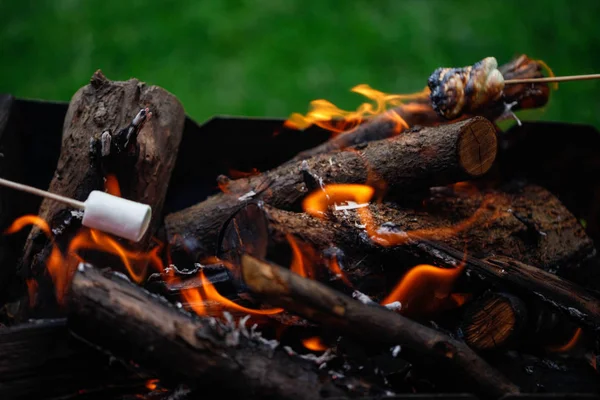 Grilling marshmallows on fire — Stock Photo, Image