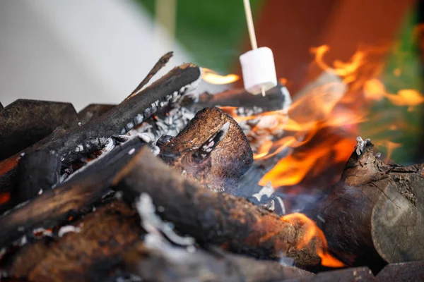 Grilling marshmallows on fire — Stock Photo, Image