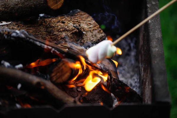 Grilling marshmallows on fire — Stock Photo, Image