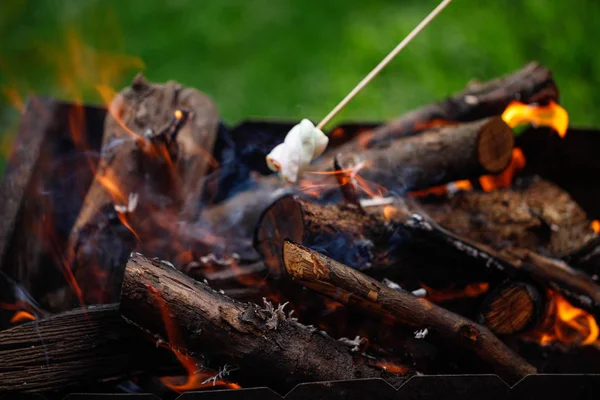 Marshmallow ateşe ızgara 