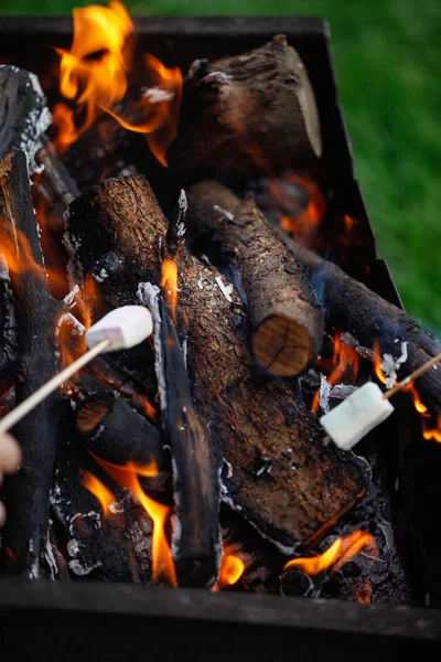 Grilling marshmallows on fire — Stock Photo, Image