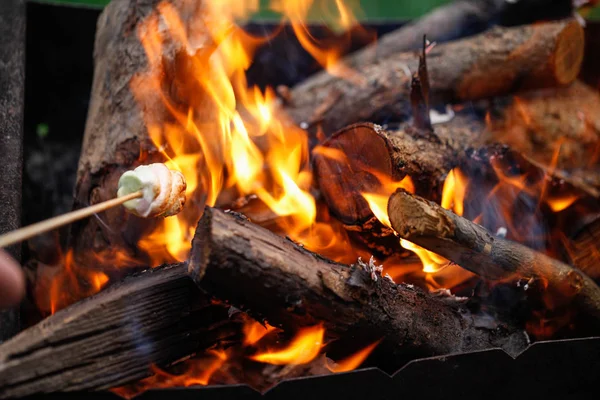 Marshmallow ateşe ızgara 